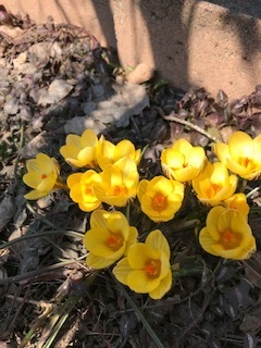 image2.jpeg