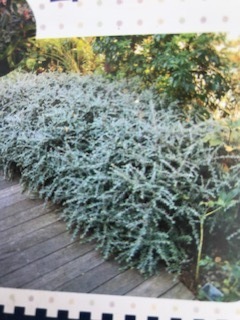 image3.jpeg