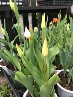 image6.jpeg