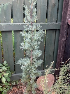 image0.jpeg