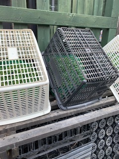 image1.jpeg