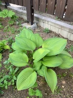 image3.jpeg