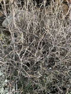 image1.jpeg
