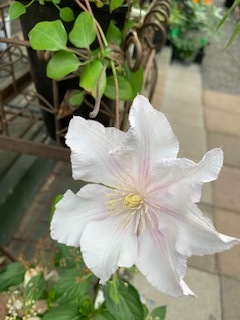 image6.jpeg