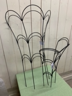 image4.jpeg