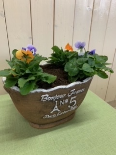 image6.jpeg