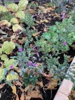 image7.jpeg