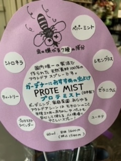 image6.jpeg
