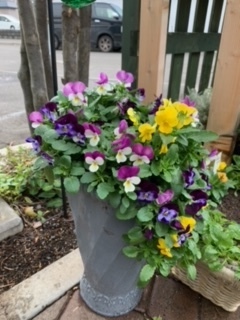 image1.jpeg