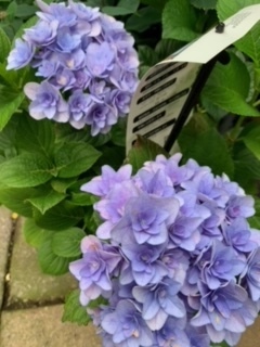 image3.jpeg