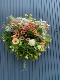 image1.jpeg