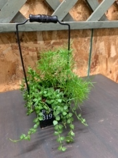 image7.jpeg