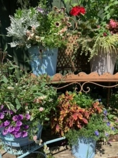 image1.jpeg