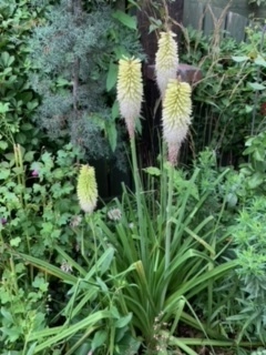 image0.jpeg