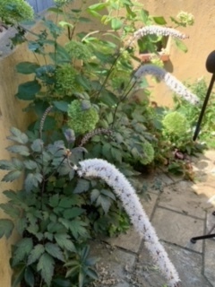 image3.jpeg