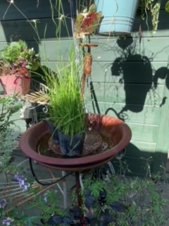 image1.jpeg