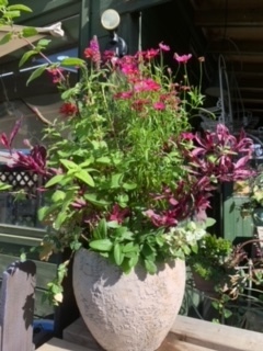 image2.jpeg