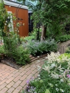 image1.jpeg