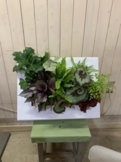 image4.jpeg