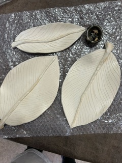 image3.jpeg