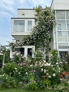 image2.jpeg