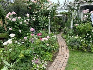 image4.jpeg