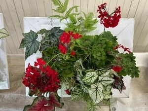 image1.jpeg